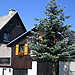 Ferienwohnung Ullrich