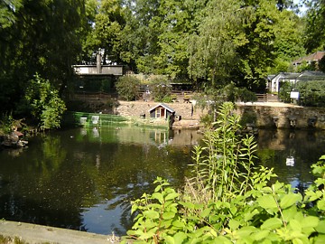 Tiergarten Thum