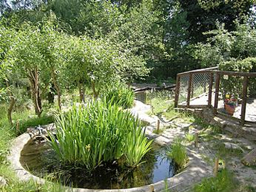 Tiergarten Aue "zoo der minis"