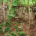 Forstbotanischer Lehrpfad am Katzenstein