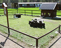 Wildpark Osterzgebirge