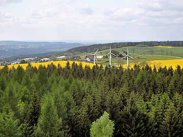 "König-Albert-Turm" am Spiegelwald