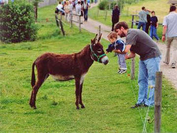 Tiergehege Weidegut Colmnitz