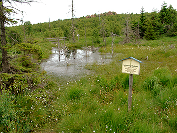 Naturschutzgebiet Georgenfelder Hochmoor