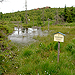 Naturschutzgebiet Georgenfelder Hochmoor