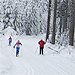 Loipen Einsiedel und Berbisdorf