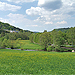 Der Haselbachweg - Von Reitzenhain nach Niederschmiedeberg
