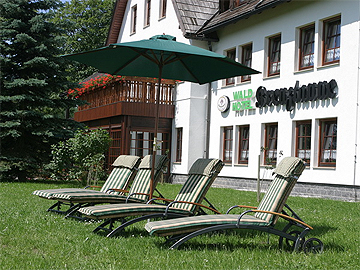 Waldhotel Kreuztanne