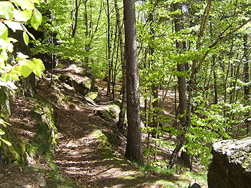 Aufstieg zur Thumer Bastei