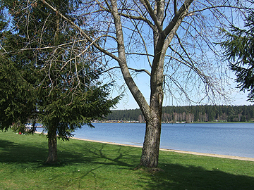 Greifenbachstauweiher