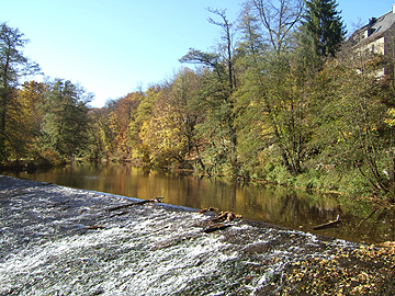 Herbst an der Zschopau