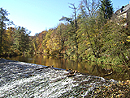 Herbst an der Zschopau