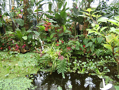 Chemnitz Botanischer Garten