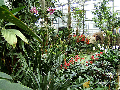 Chemnitz Botanischer Garten