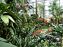 Chemnitz Botanischer Garten