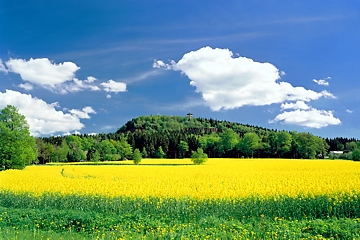 Blick zum Scheibenberg