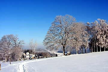 Winter in Wildenthal