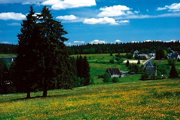 Bergwiese bei Carlsfeld