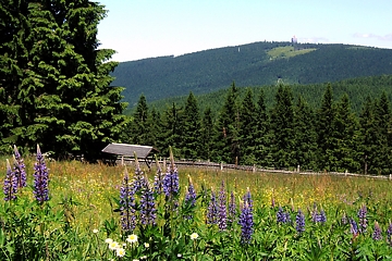 Blick von Carlsfeld zum Auersberg