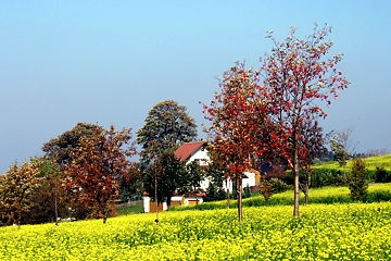 Blick auf Hormersdorf